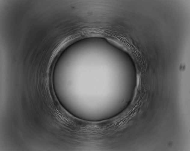 X0000100880195200806201155