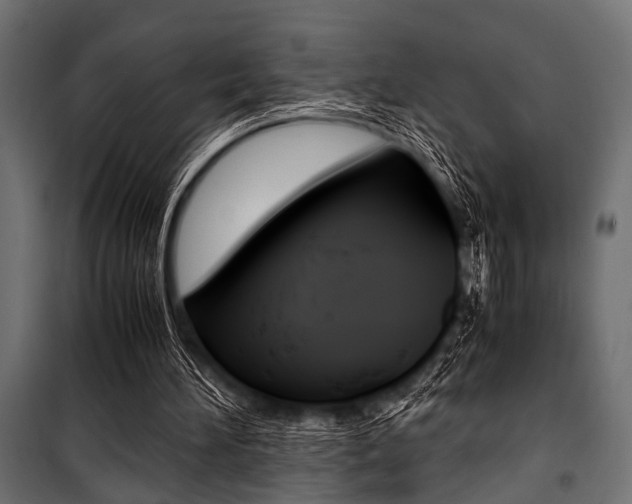 X0000100880196200806201155