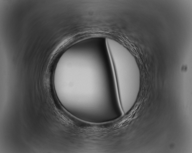 X0000100880197200806201155
