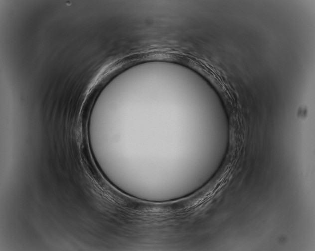 X0000100880198200806201155