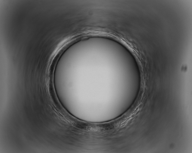 X0000100880199200806201155