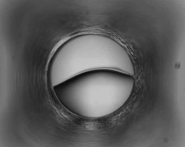 X0000100880200200806201155
