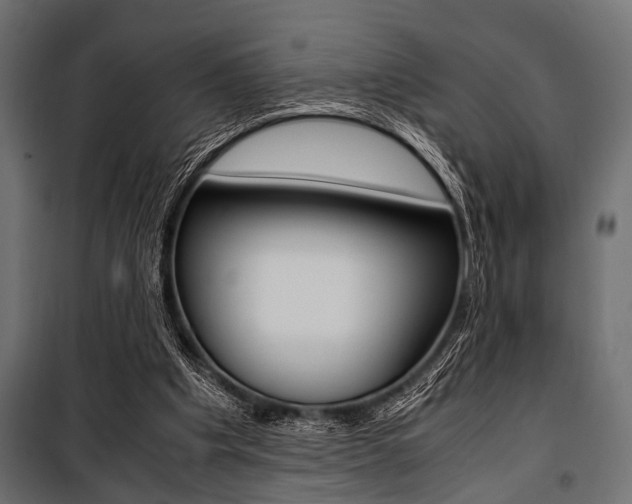 X0000100880201200806201155