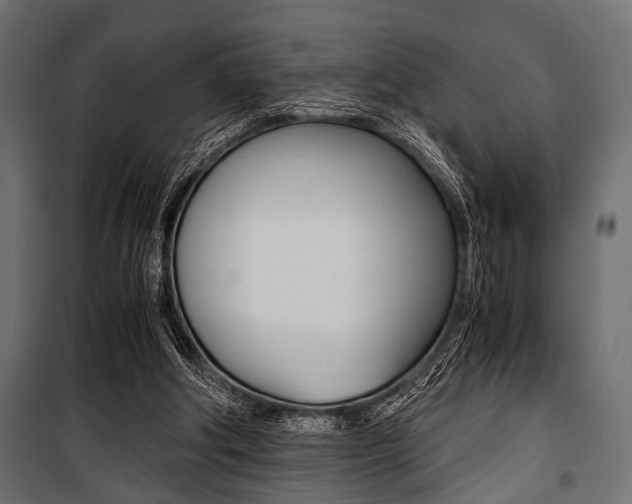 X0000100880202200806201155