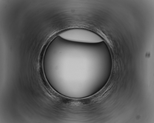 X0000100880203200806201155