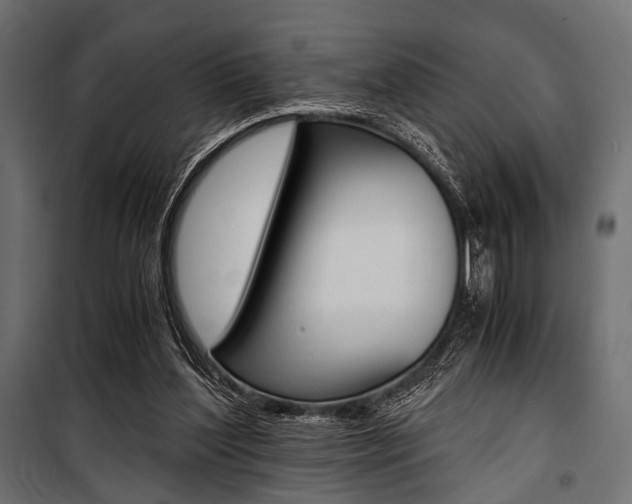 X0000100880204200806201155