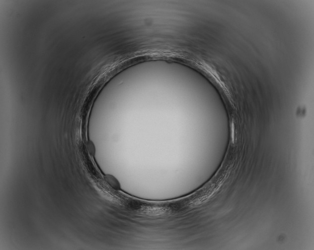 X0000100880205200806201155