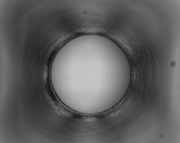 X0000100880206200806201155