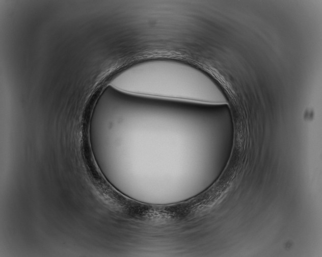 X0000100880207200806201155