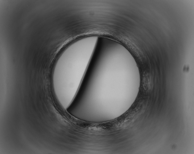 X0000100880208200806201155
