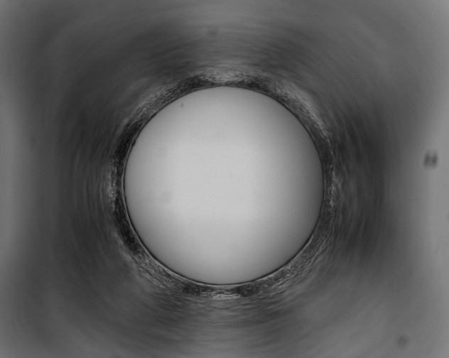 X0000100880210200806201155