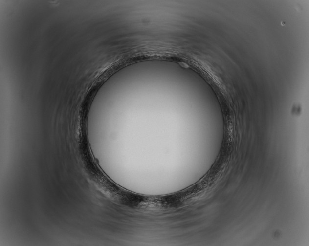 X0000100880211200806201155