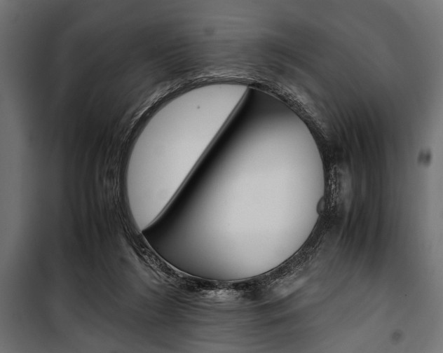 X0000100880212200806201155