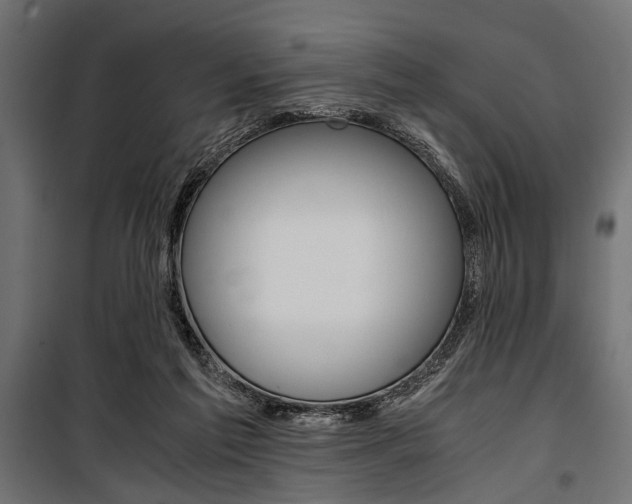 X0000100880213200806201154