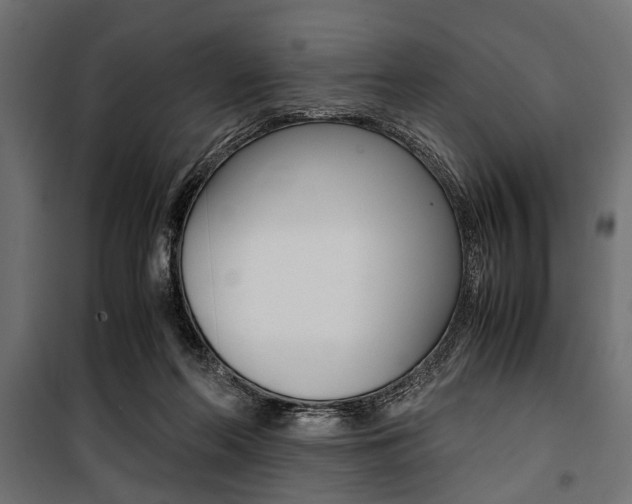 X0000100880214200806201154