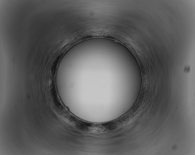 X0000100880215200806201154