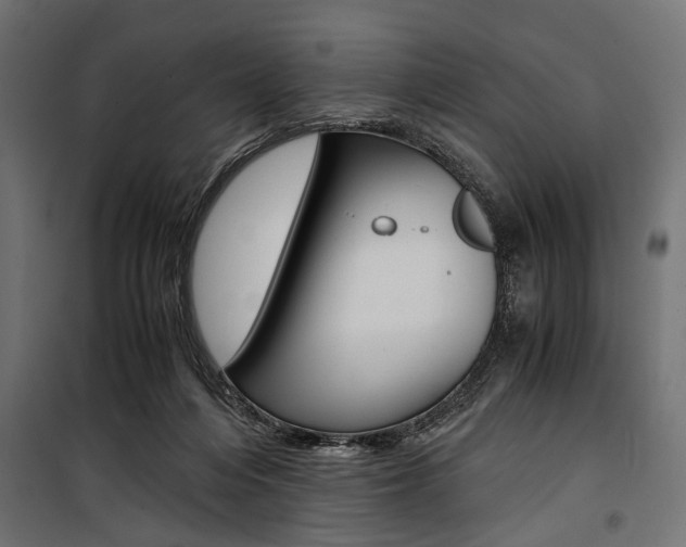 X0000100880216200806201154