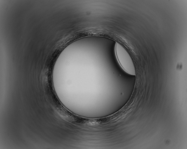 X0000100880217200806201154
