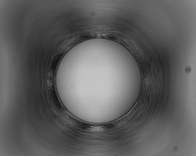 X0000100880218200806201154