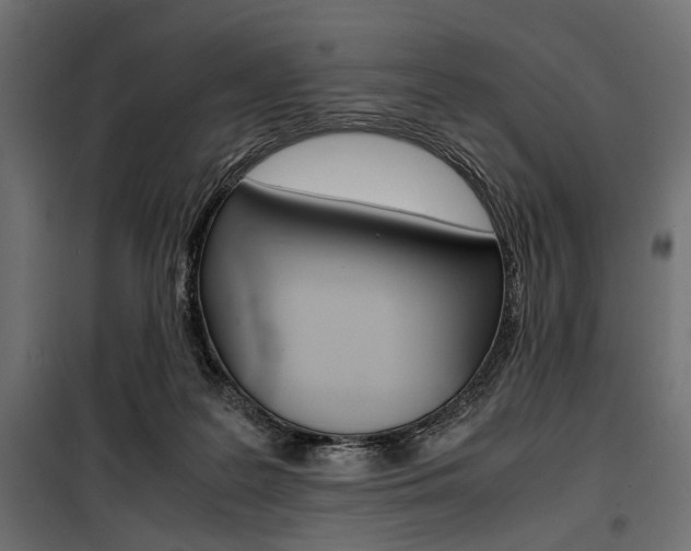 X0000100880219200806201154