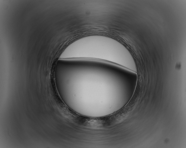 X0000100880221200806201154