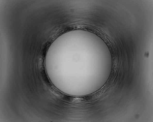 X0000100880222200806201154