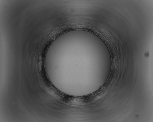 X0000100880223200806201154