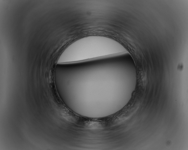 X0000100880224200806201154