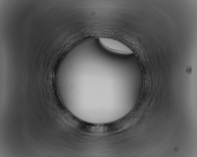 X0000100880225200806201154