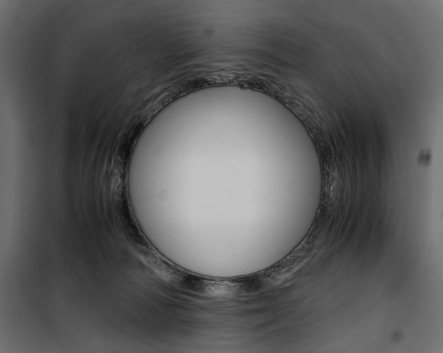 X0000100880226200806201154