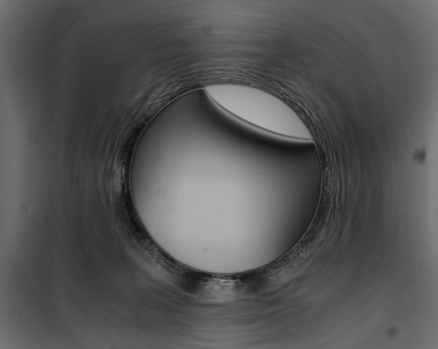 X0000100880227200806201154