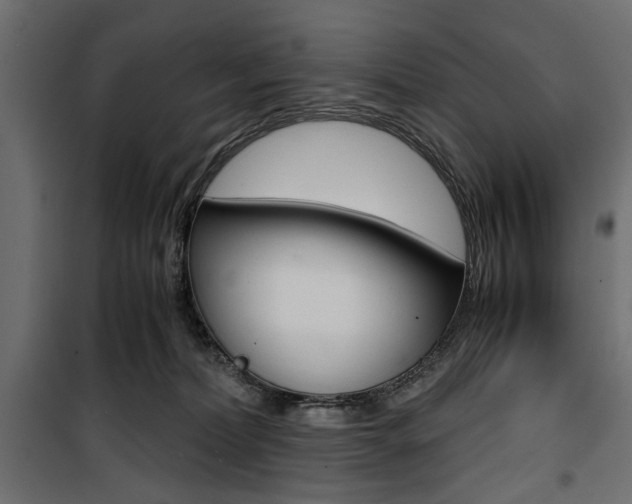X0000100880228200806201154