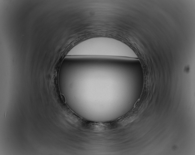 X0000100880229200806201154