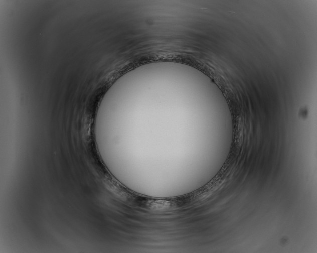 X0000100880230200806201154