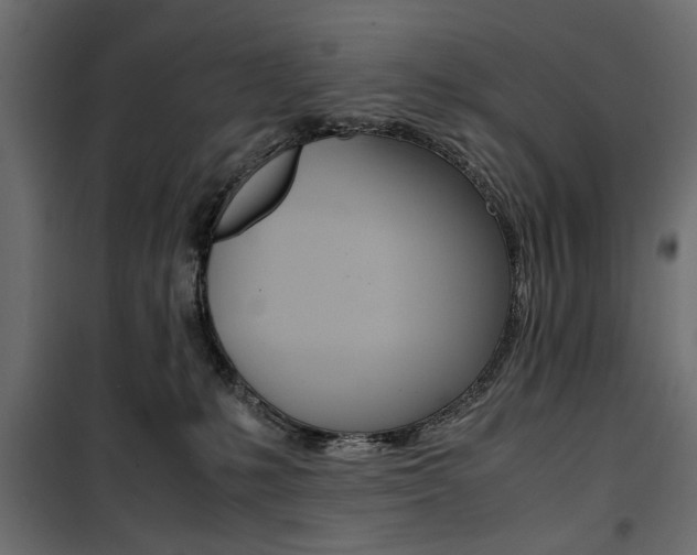 X0000100880231200806201154