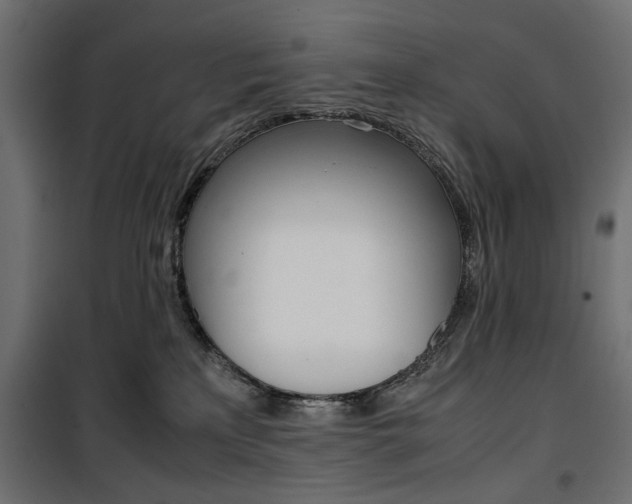 X0000100880233200806201154