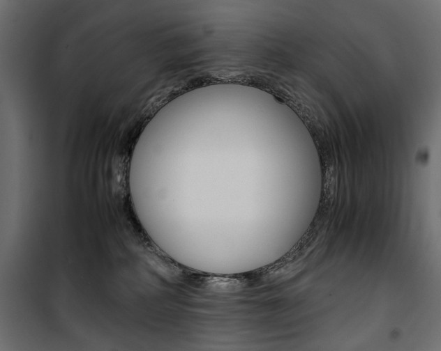 X0000100880234200806201154