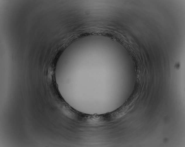 X0000100880235200806201154