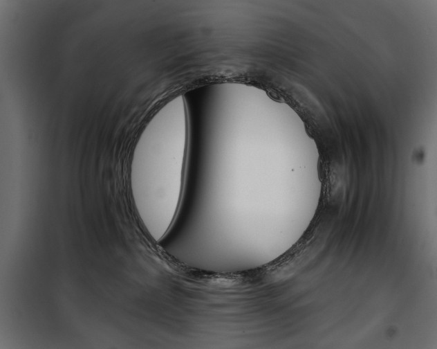 X0000100880236200806201154