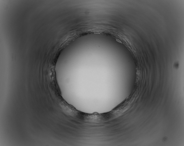 X0000100880237200806201154