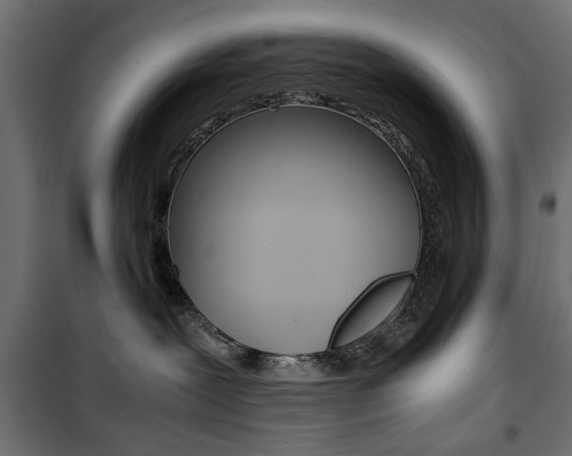 X0000100880239200806201154