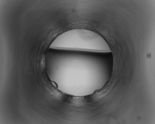 X0000100880240200806201154