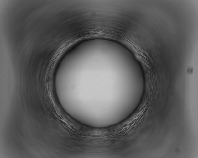 X0000100880241200806201153