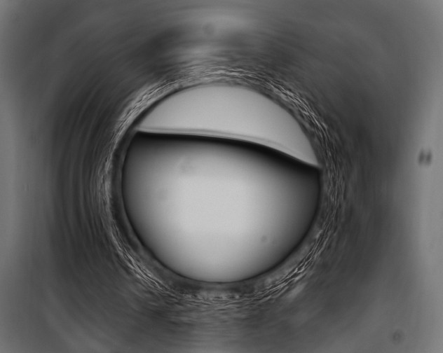 X0000100880242200806201153
