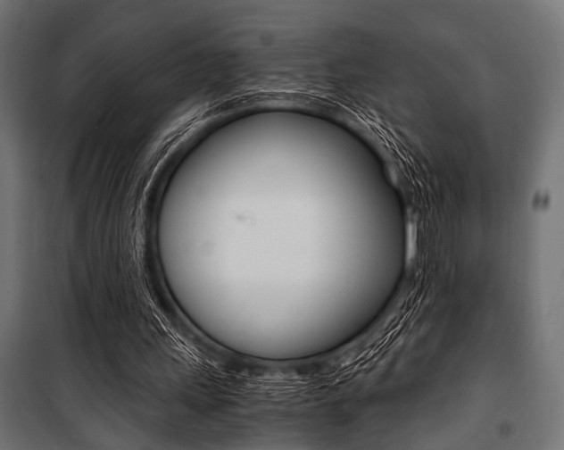 X0000100880243200806201153