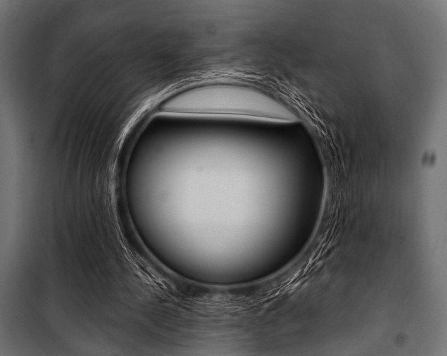 X0000100880244200806201153