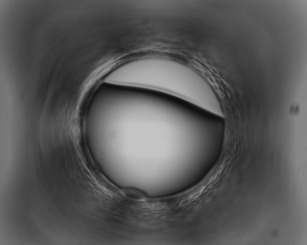 X0000100880245200806201153