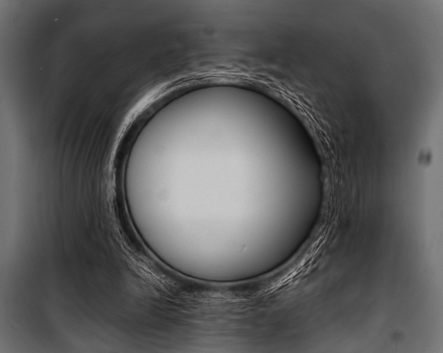 X0000100880246200806201153