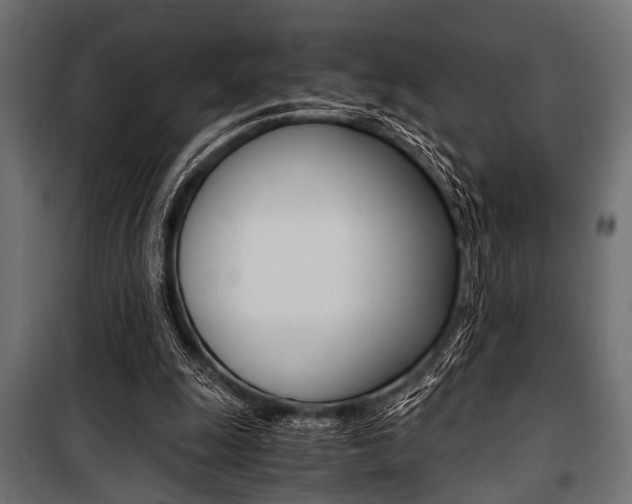 X0000100880247200806201153