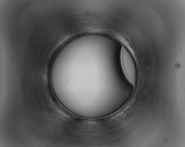 X0000100880249200806201153